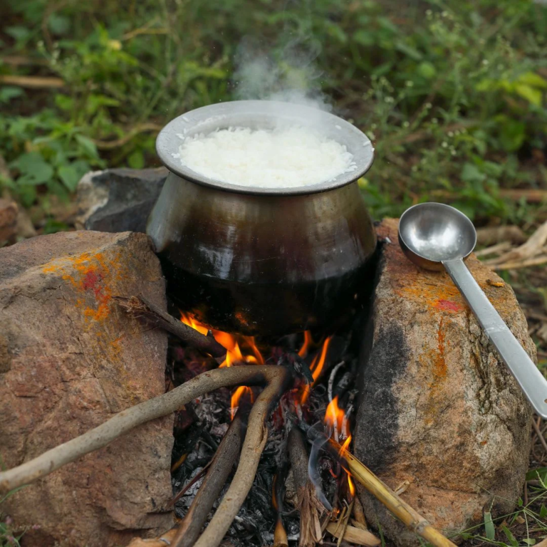 PONGAL – HARVEST FESTIVAL