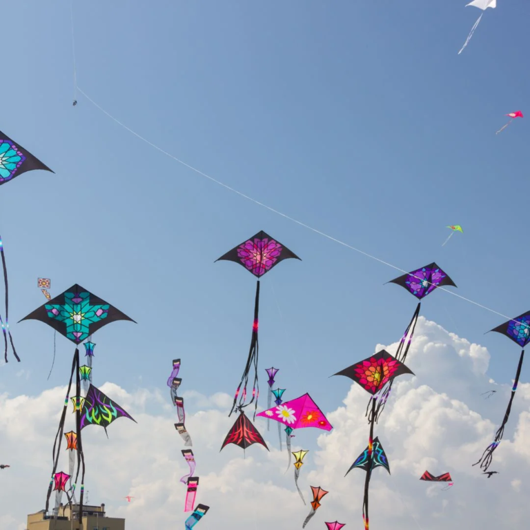 Makar Sankranti – Festival of Kites